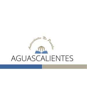 carta de antecedentes no penales aguascalientes