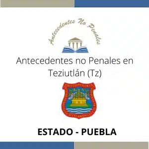 Antecedentes no Penales en Teziutlán